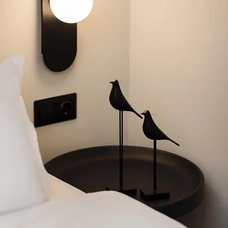 Palazzo Elegant By Binobi!
